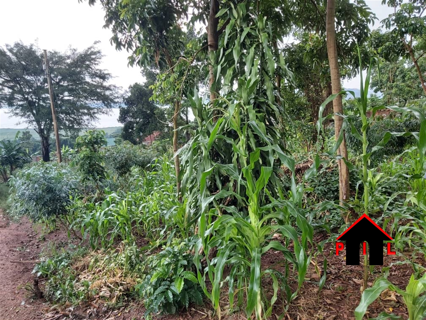 Residential Land for sale in Kigo Kampala