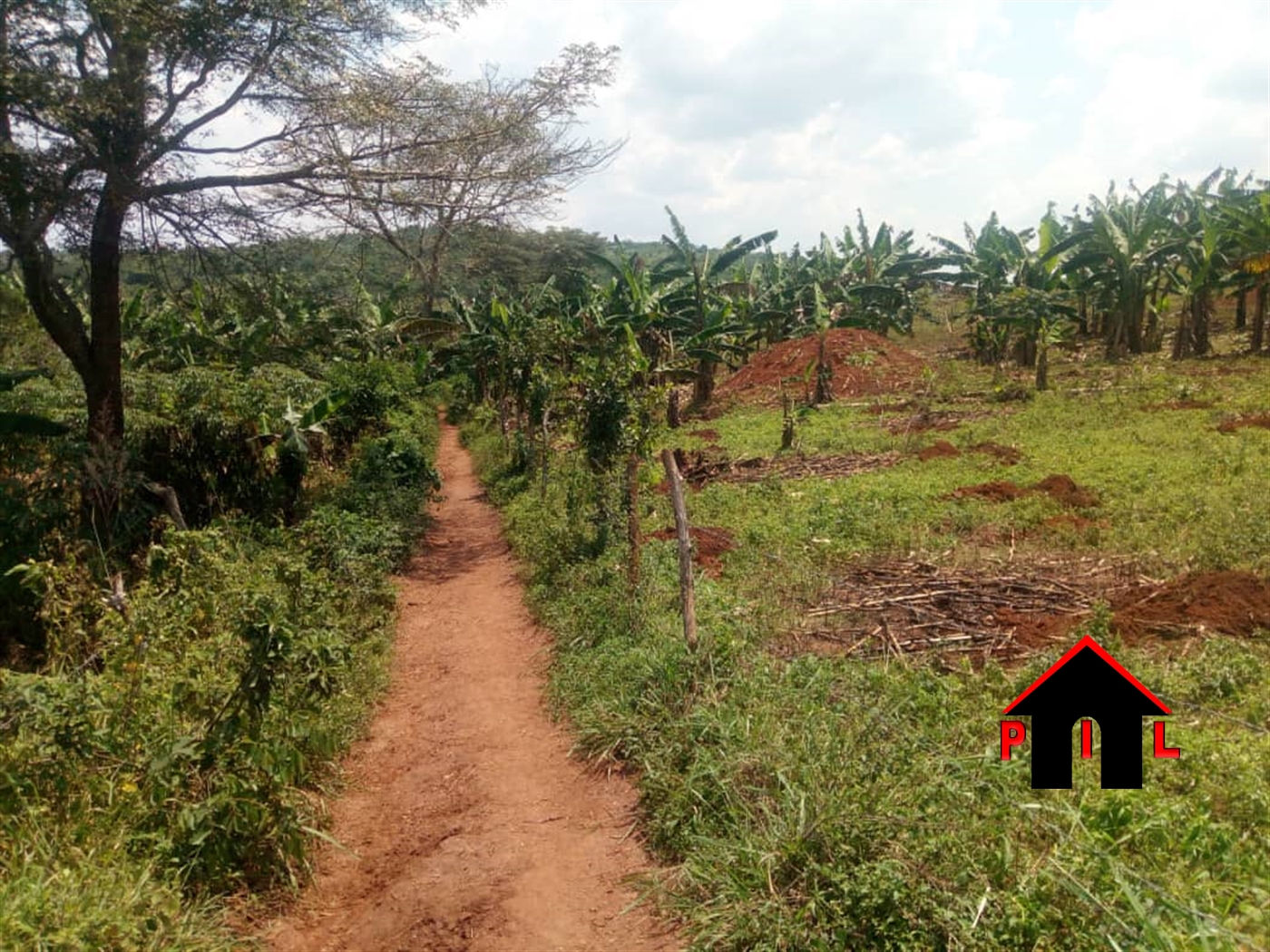 Agricultural Land for sale in Kassanda Mityana