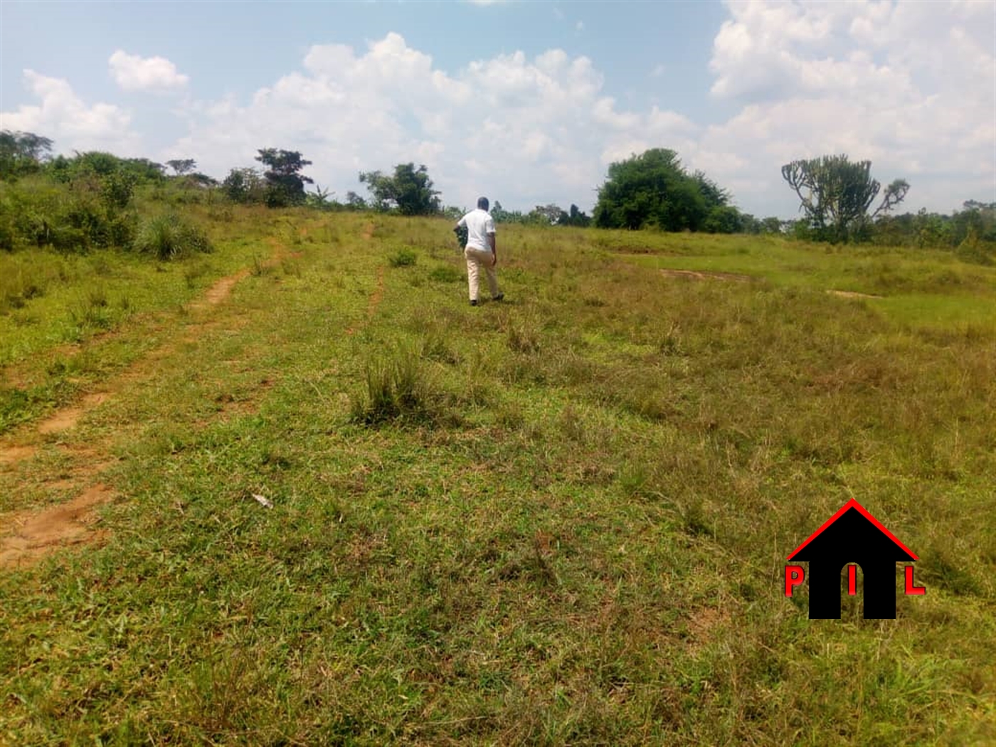 Agricultural Land for sale in Kassanda Mityana