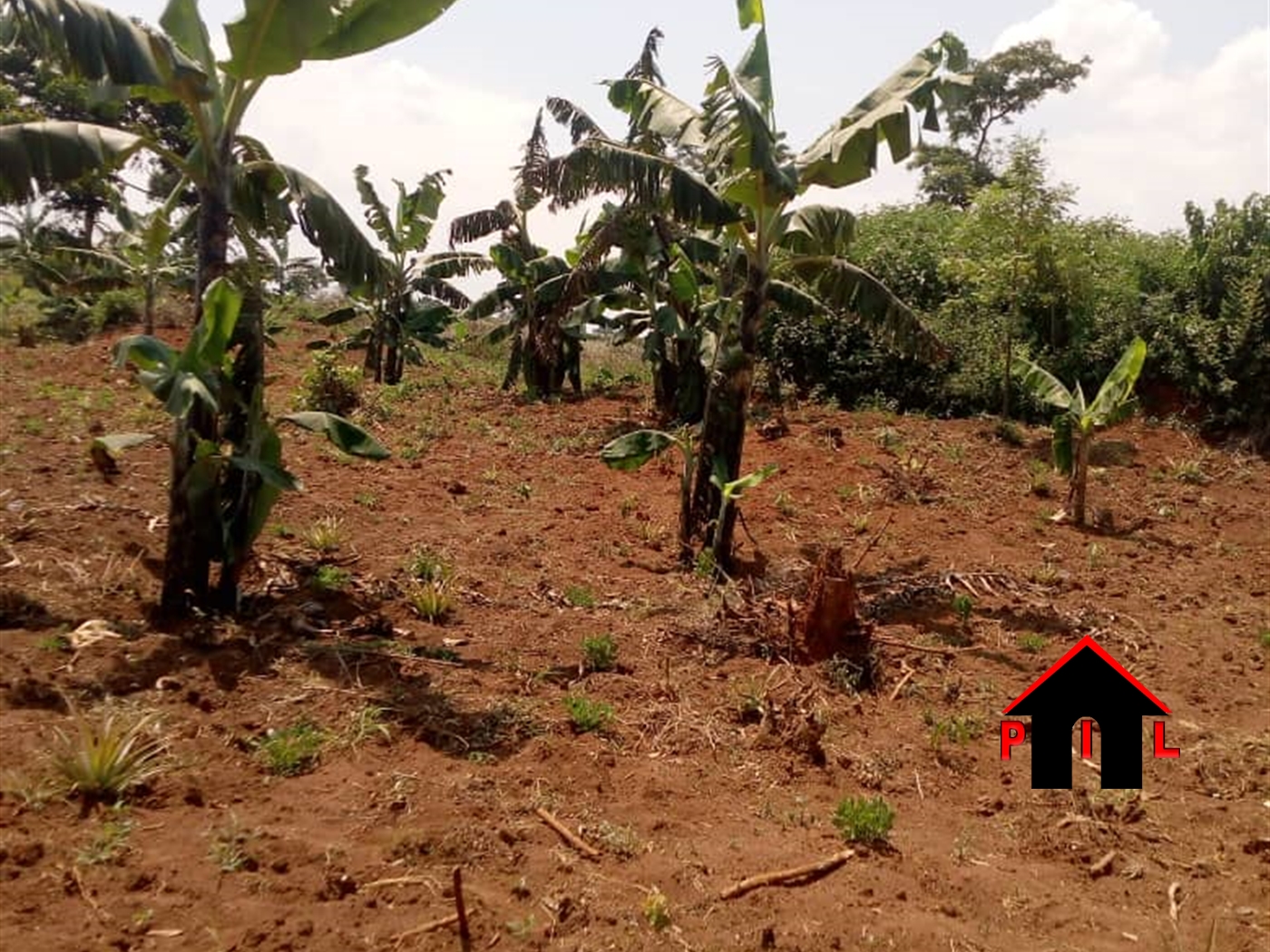 Residential Land for sale in Kiwenda Wakiso