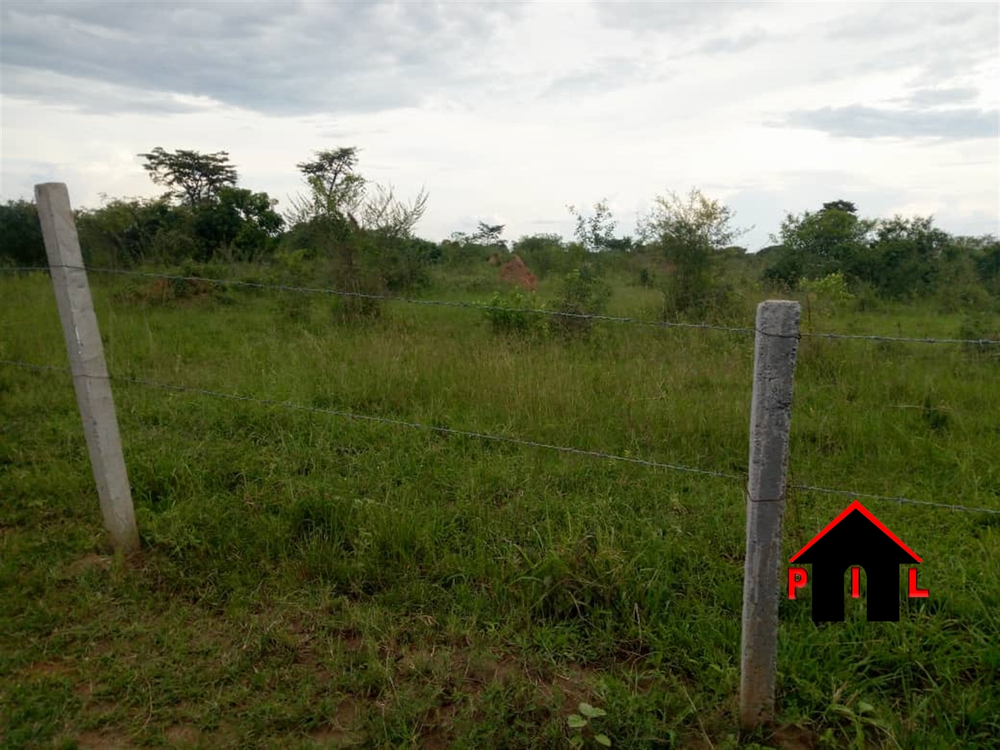 Agricultural Land for sale in Ziloobwe Luweero