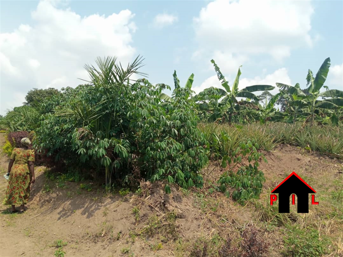 Residential Land for sale in Bujuuko Mityana