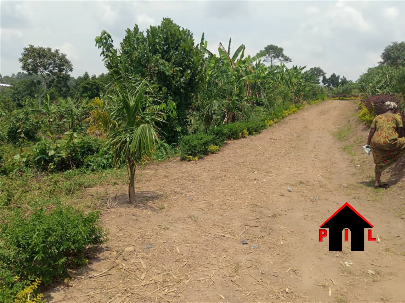 Residential Land for sale in Bujuuko Mityana