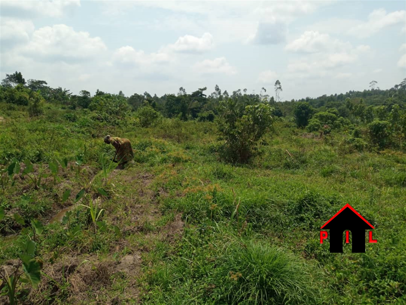 Residential Land for sale in Bujuuko Mityana