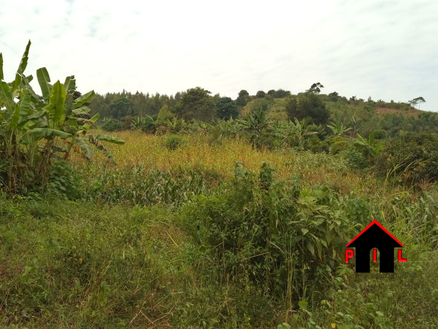 Residential Land for sale in Buyala Mityana