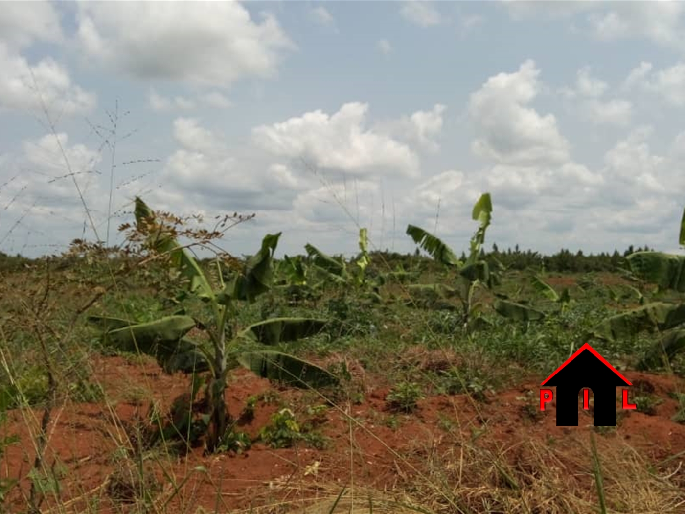 Residential Land for sale in Lukwanga Mityana