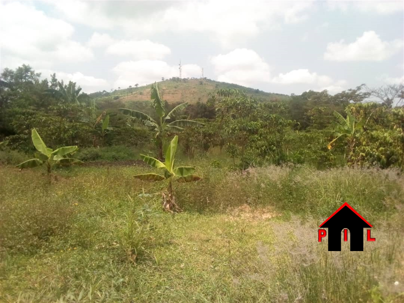 Agricultural Land for sale in Kisoga Mukono