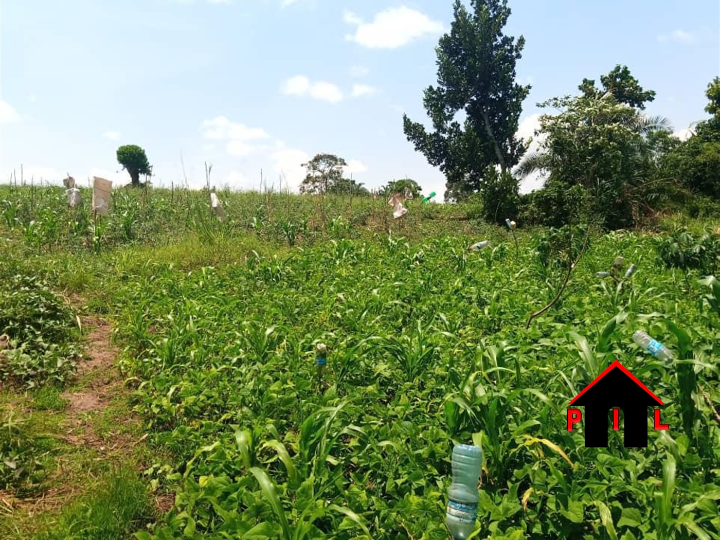 Residential Land for sale in Matugga Wakiso