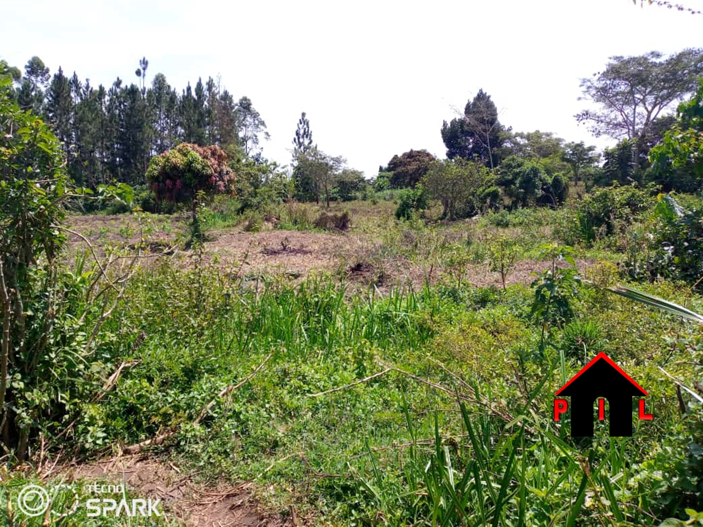 Agricultural Land for sale in Namasumbi Mukono