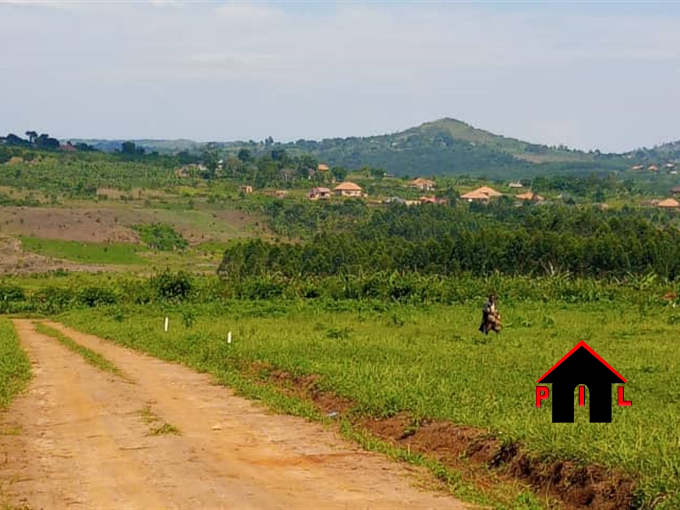 Residential Land for sale in Bujuuko Mityana