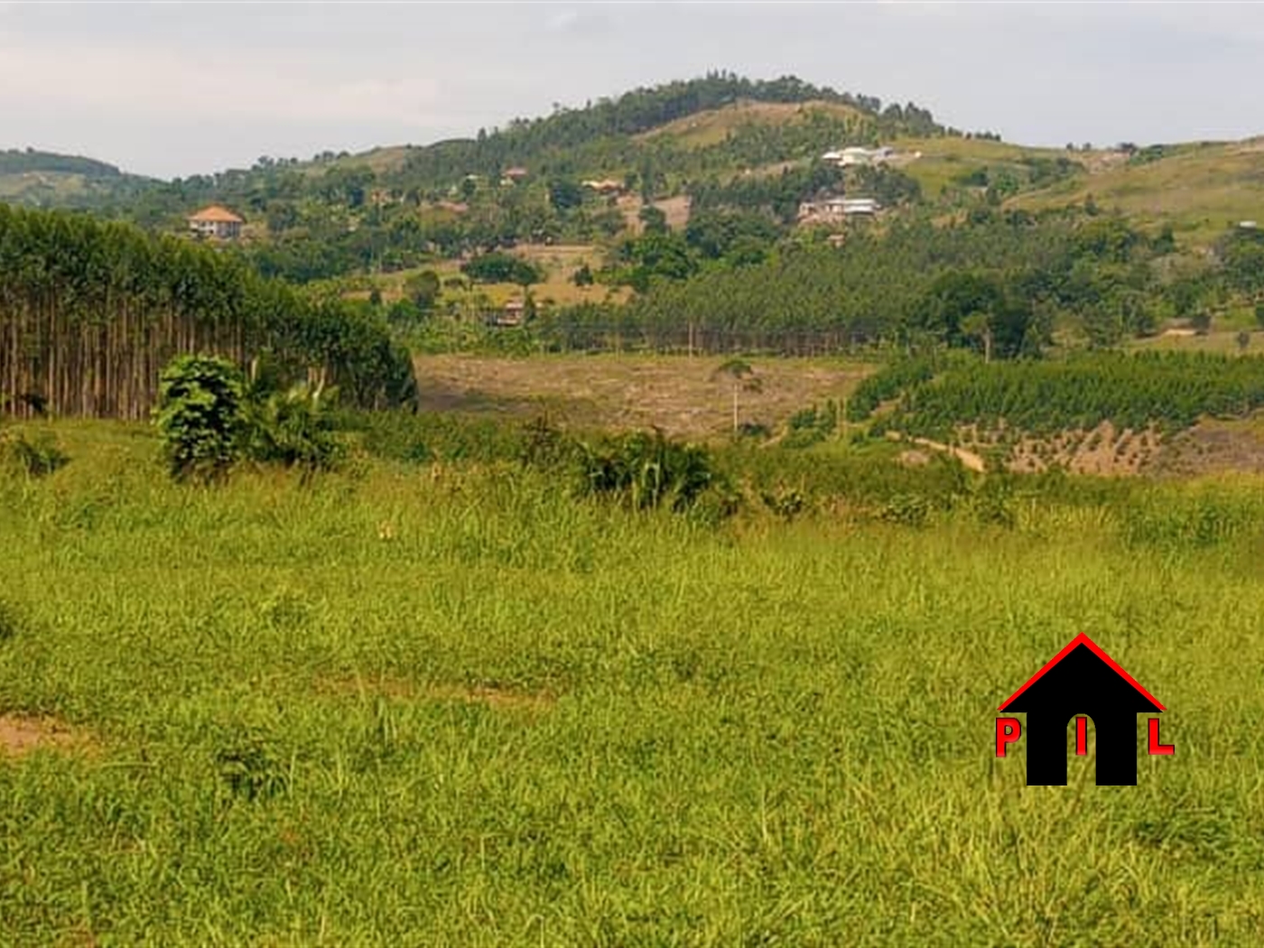 Residential Land for sale in Bujuuko Mityana