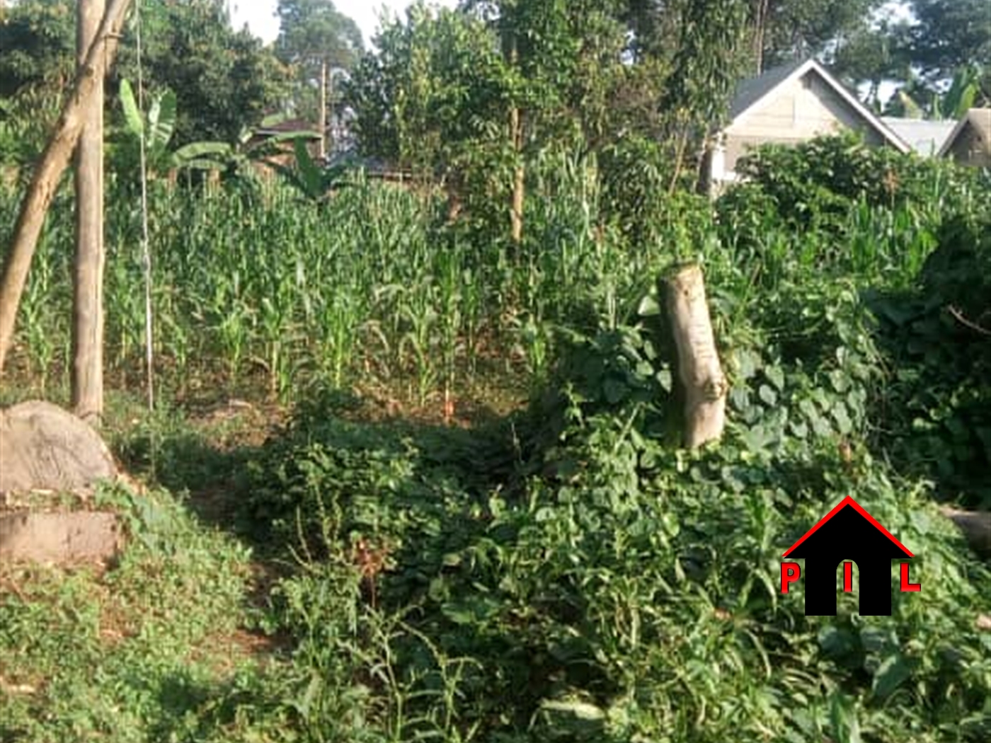 Residential Land for sale in Maganjo Wakiso