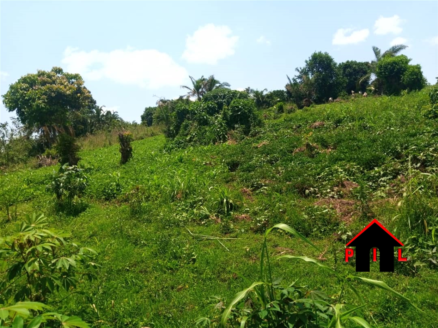 Agricultural Land for sale in Namulonge Wakiso
