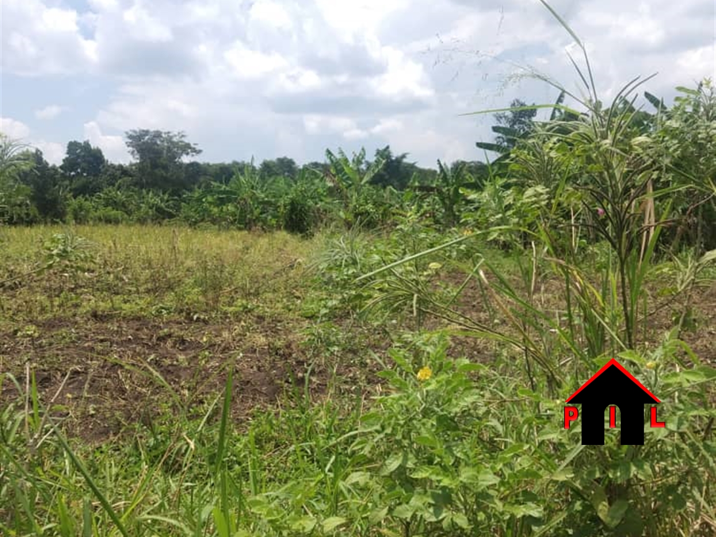 Residential Land for sale in Buloba Mityana