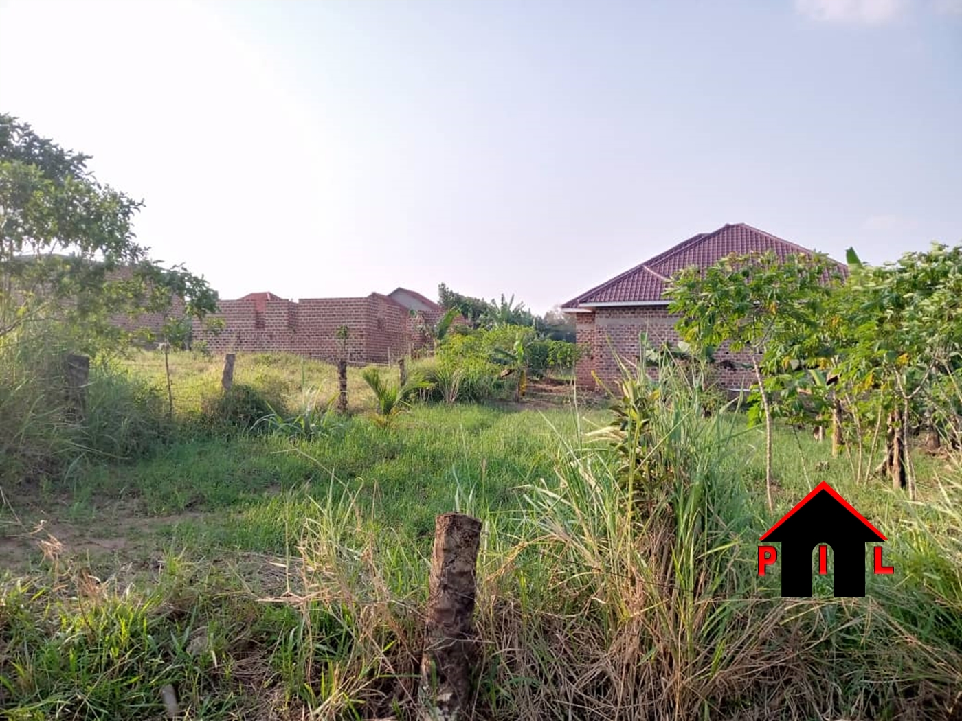 Residential Land for sale in Namulonge Wakiso