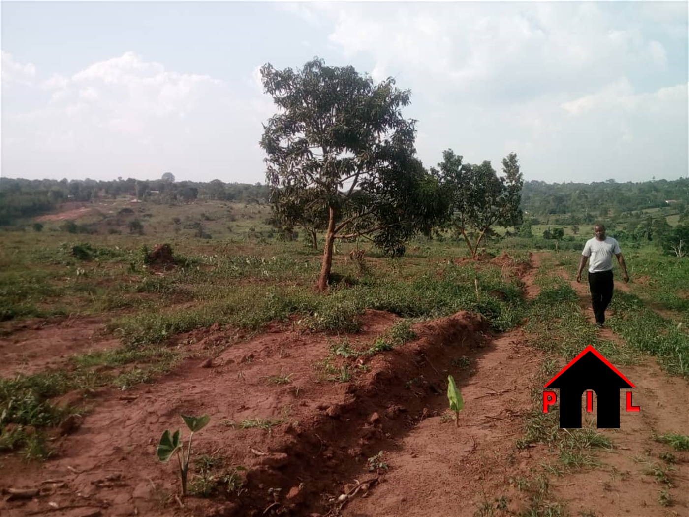 Residential Land for sale in Kiwenda Wakiso