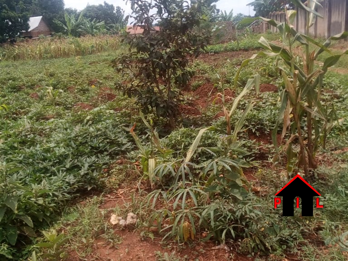 Residential Land for sale in Nakweelo Wakiso