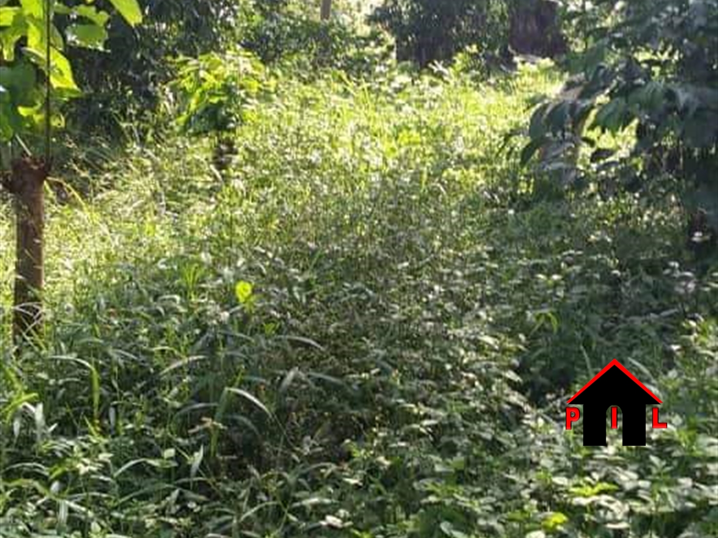 Residential Land for sale in Nakassajja Wakiso