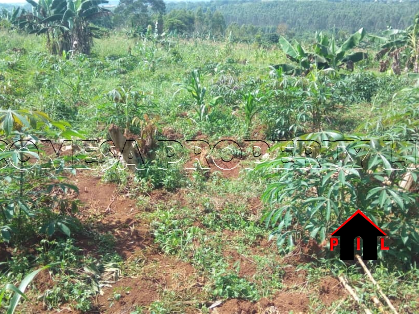 Residential Land for sale in Bulami Wakiso