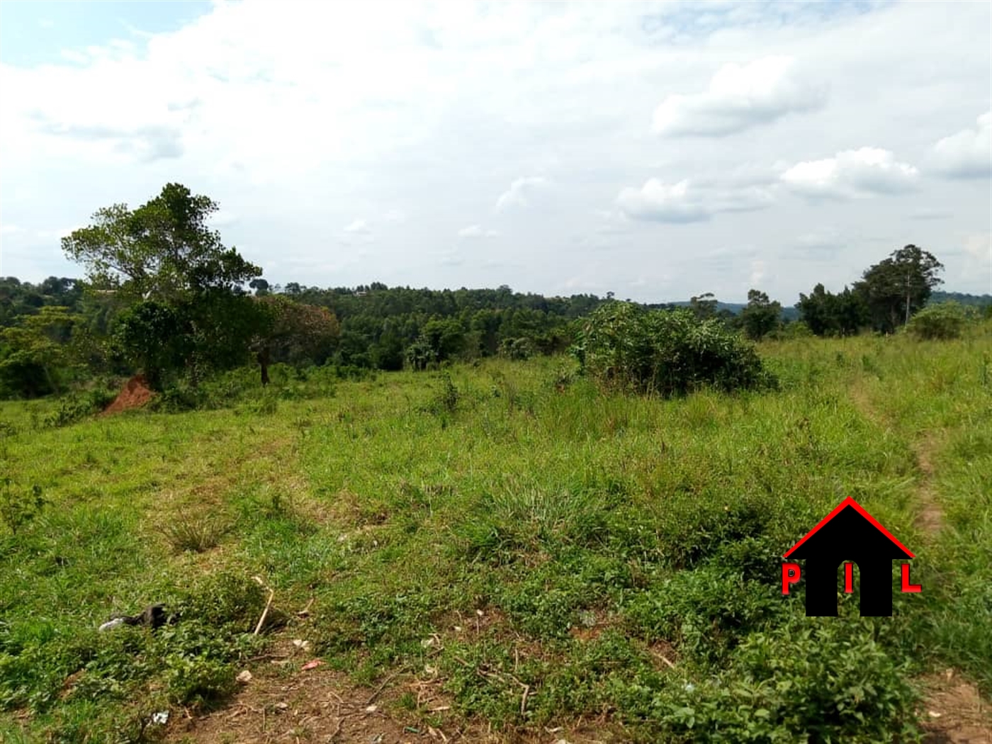 Agricultural Land for sale in Ziloobwe Luweero