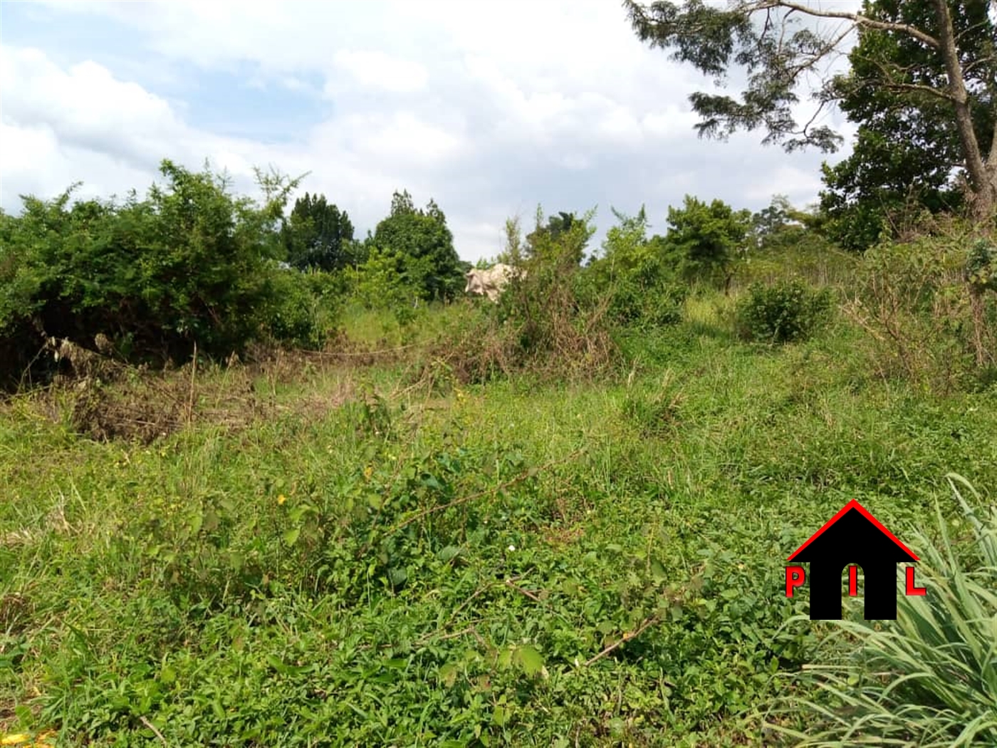 Agricultural Land for sale in Ziloobwe Luweero