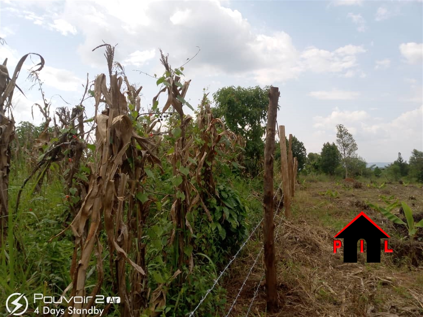 Commercial Land for sale in Kalasa Nakaseke