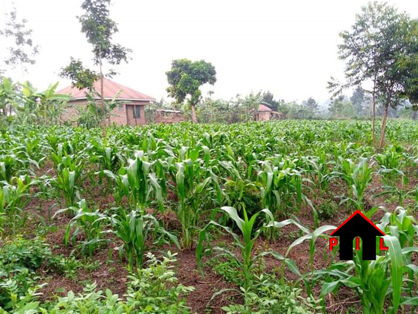 Residential Land for sale in Bukeelele Wakiso