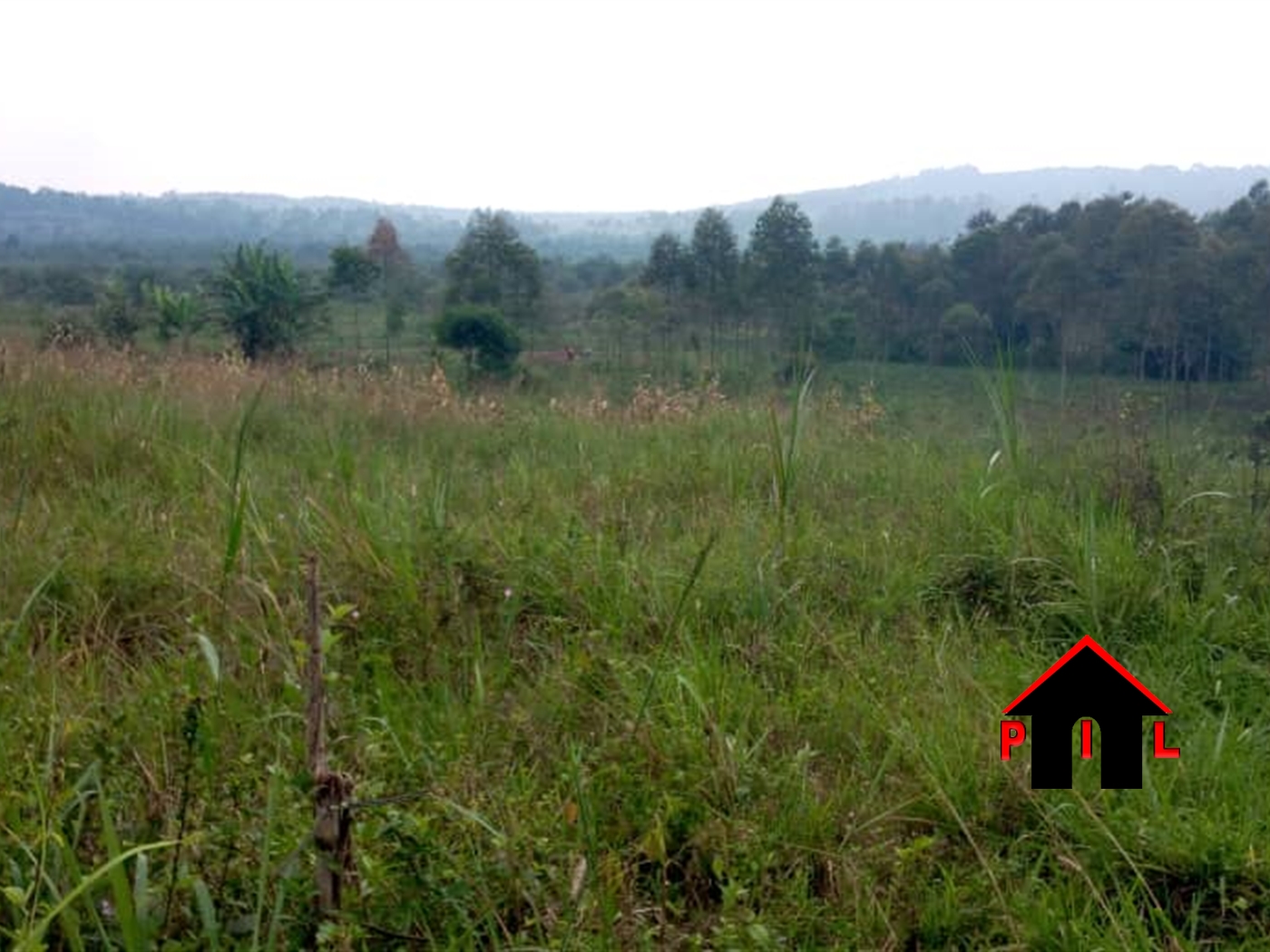 Agricultural Land for sale in Wakyato Nakaseke