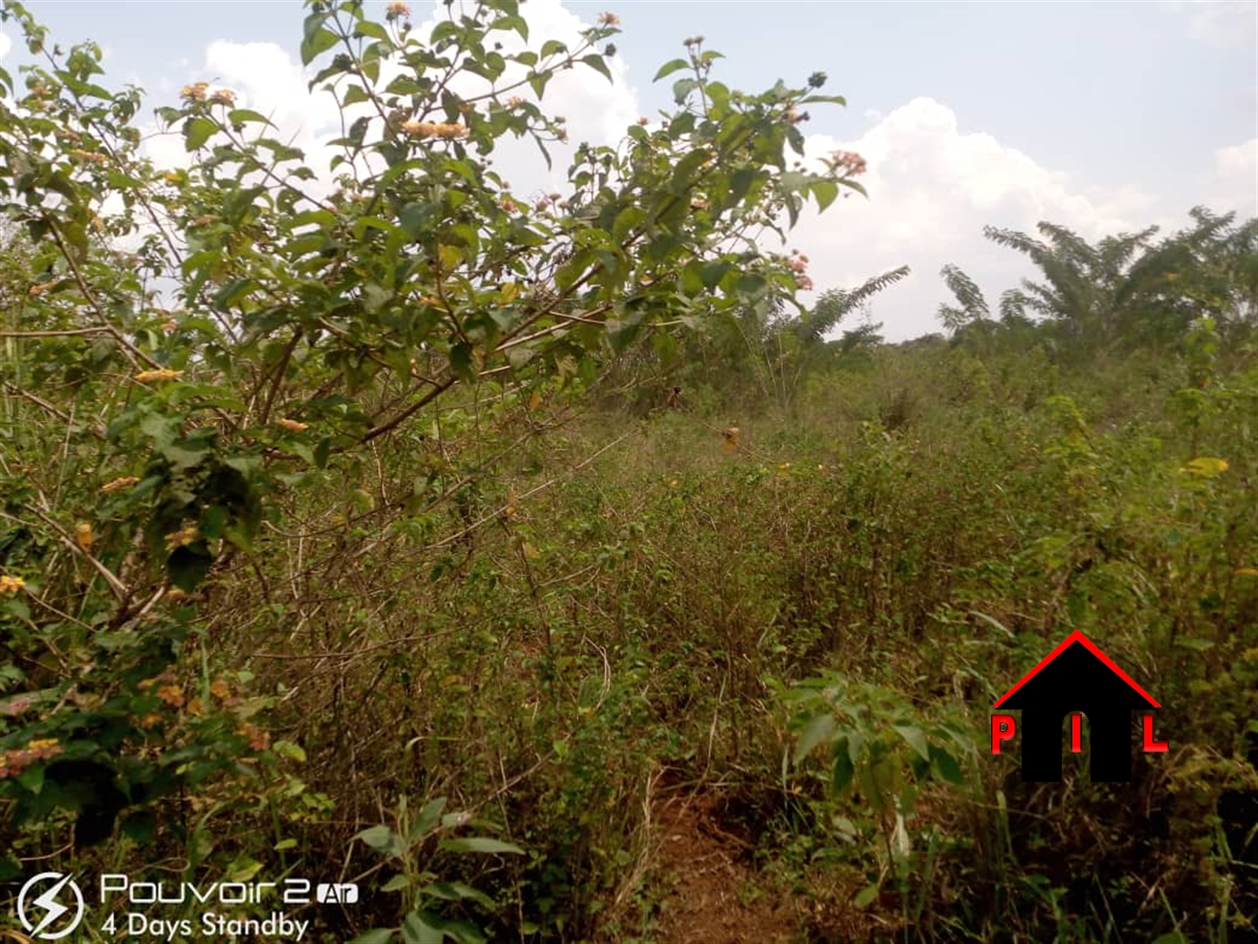 Agricultural Land for sale in Nabiswera Nakasongola