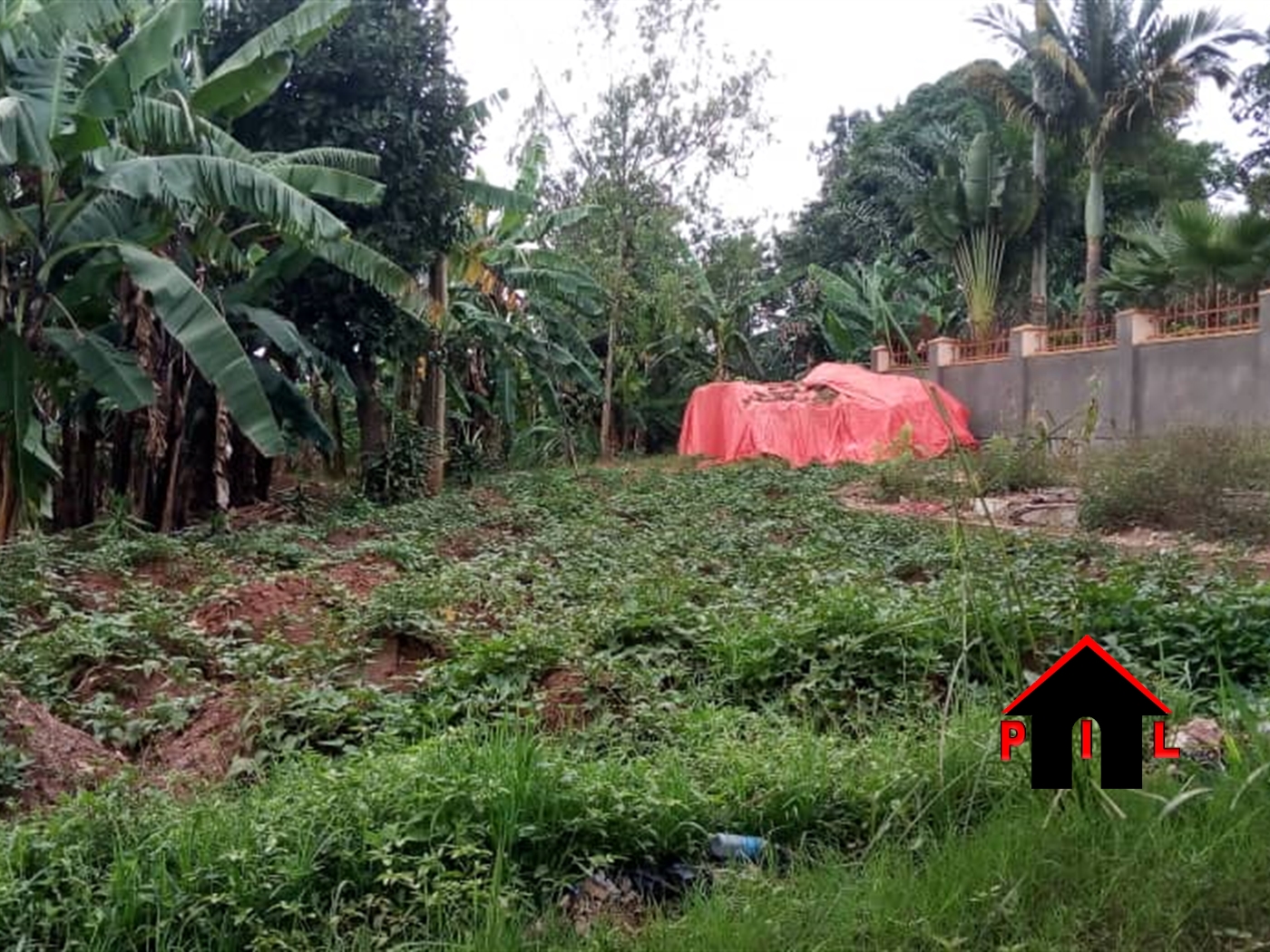 Agricultural Land for sale in Kyakwanzi Masindi