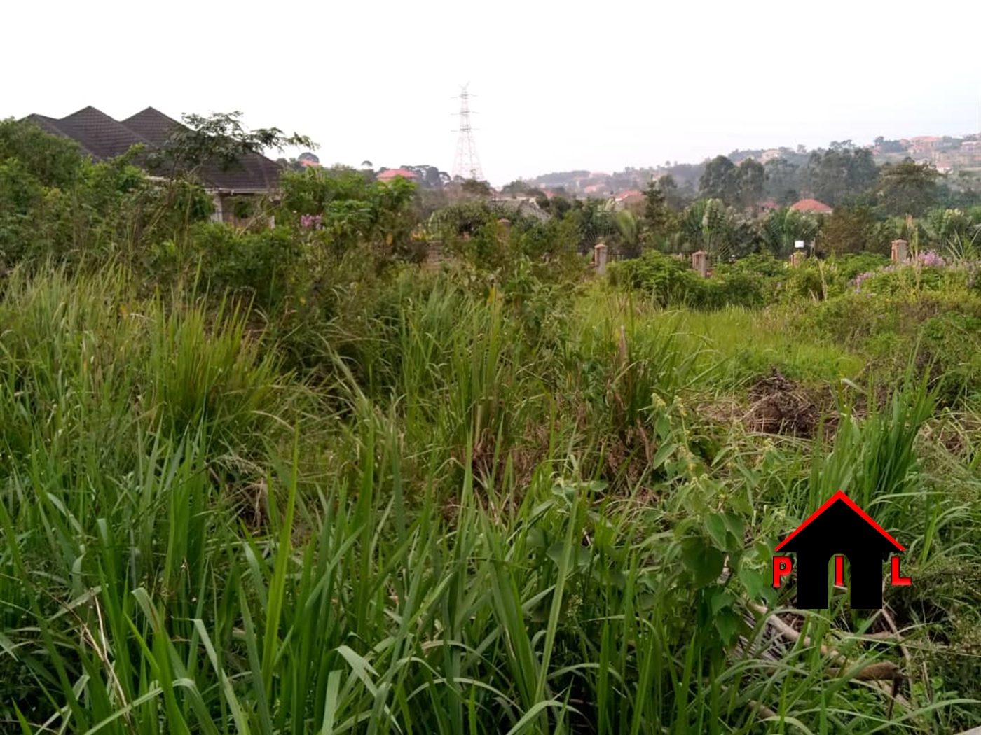 Agricultural Land for sale in Kalule Luweero