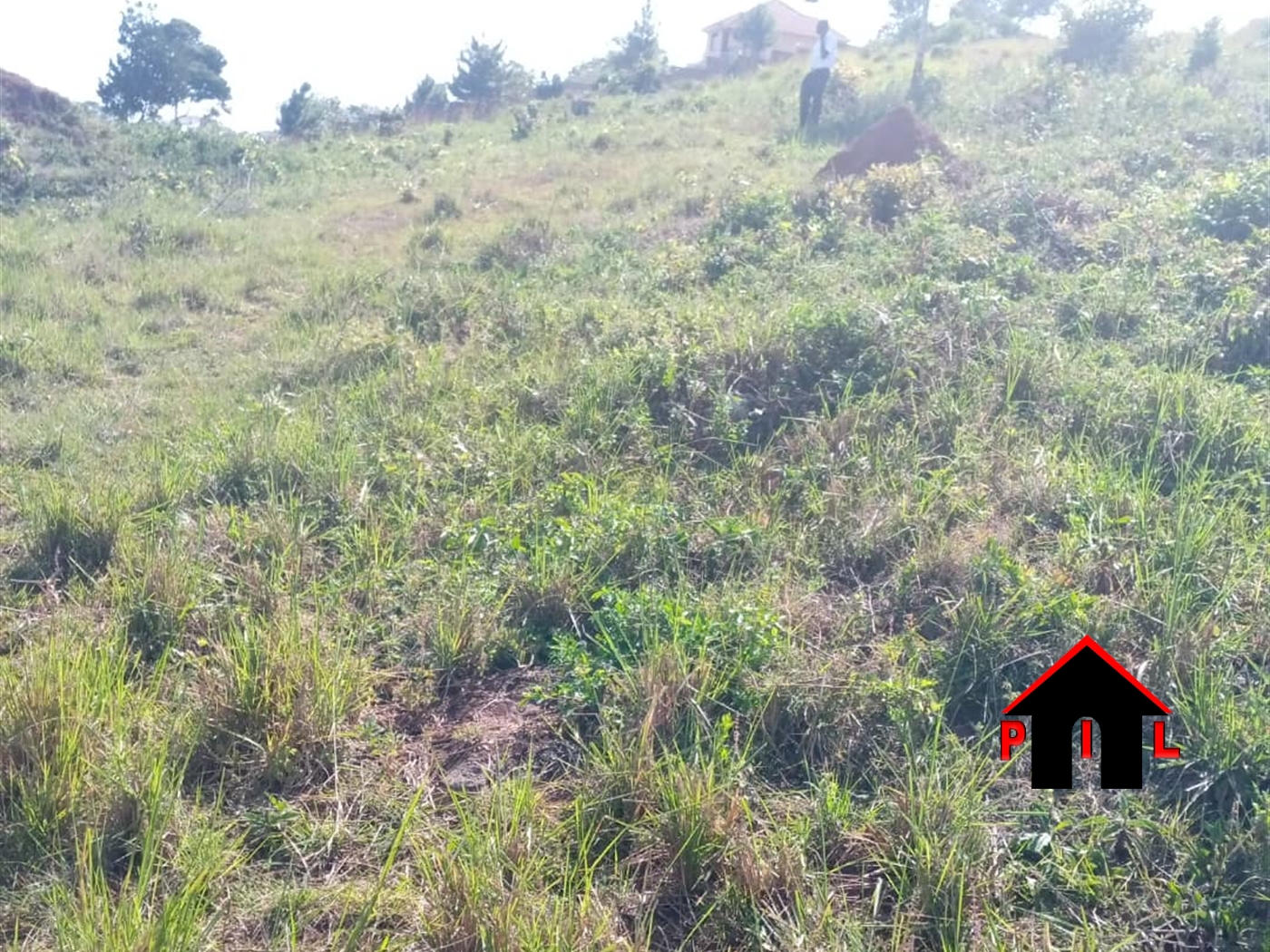 Commercial Land for sale in Akright Wakiso