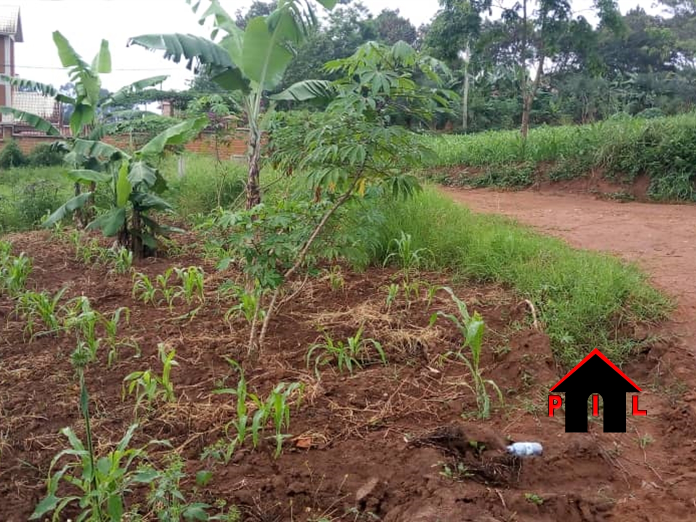 Agricultural Land for sale in Nakassajja Wakiso