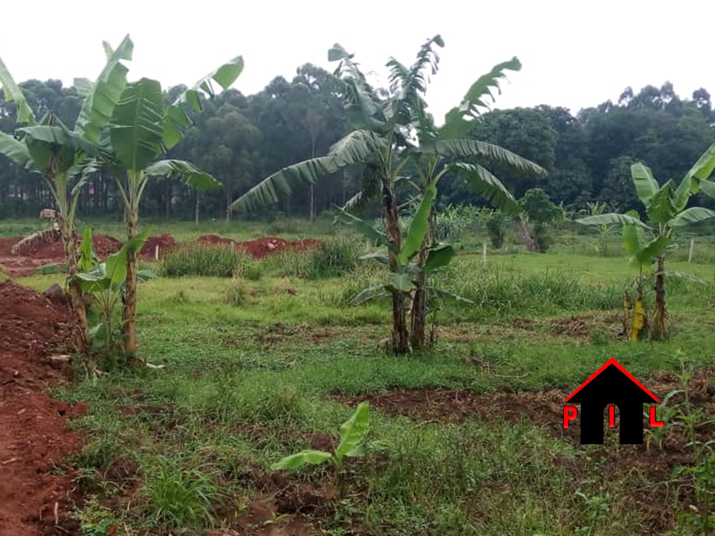 Agricultural Land for sale in Nakassajja Wakiso