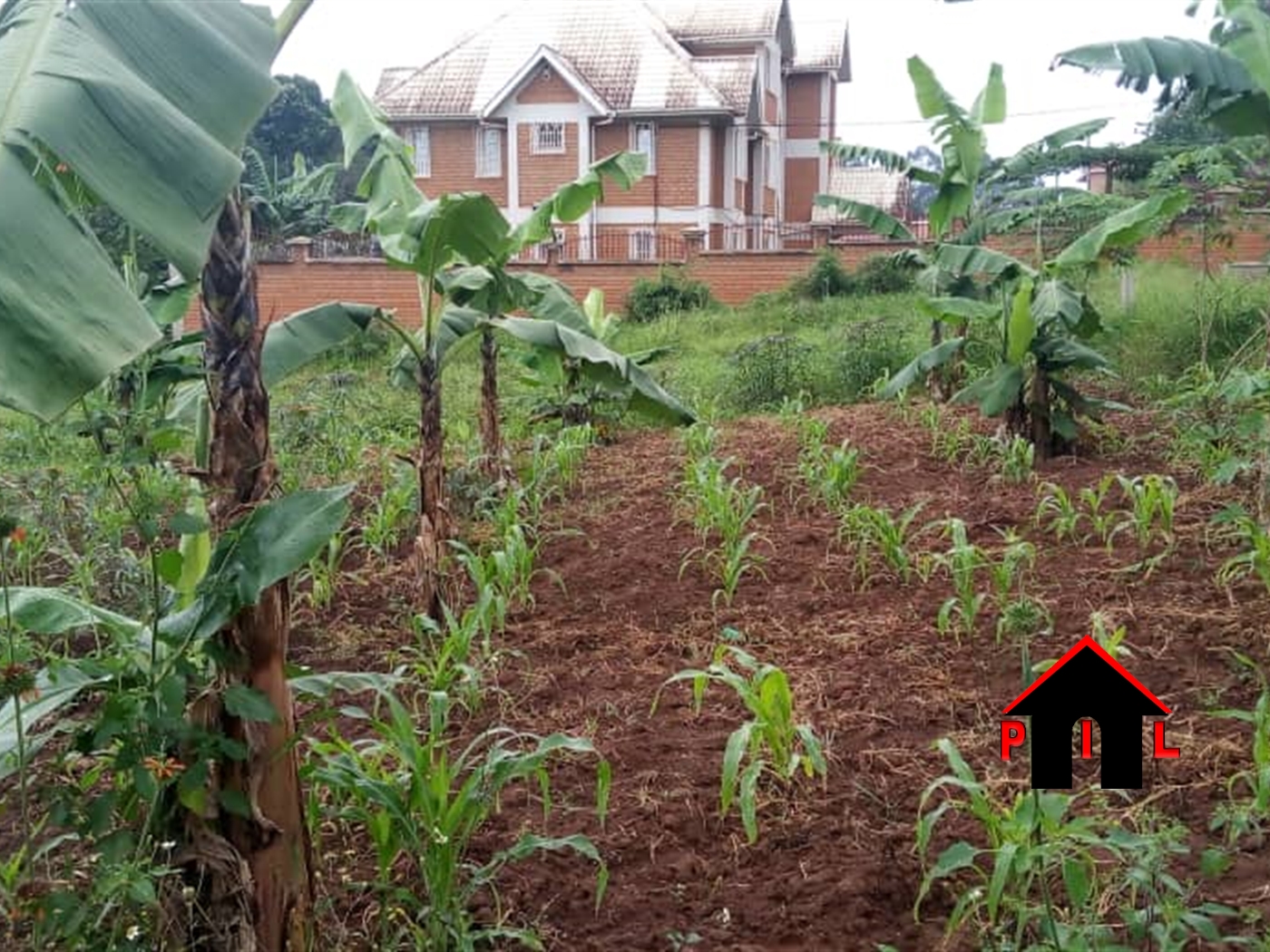 Agricultural Land for sale in Kiwenda Wakiso