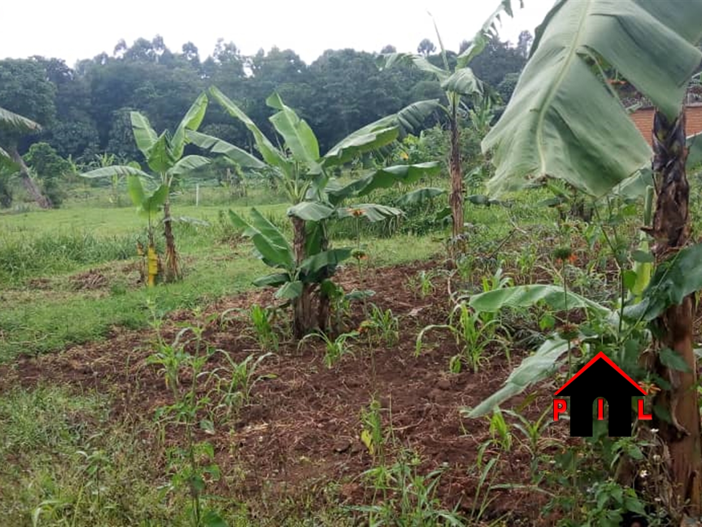 Agricultural Land for sale in Kiwenda Wakiso