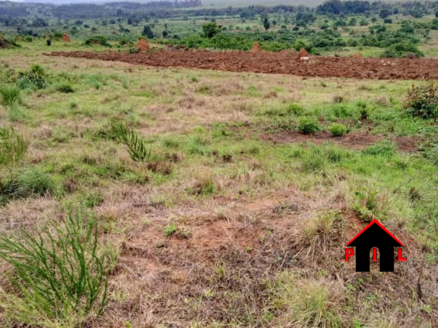 Residential Land for sale in Gayaza Wakiso