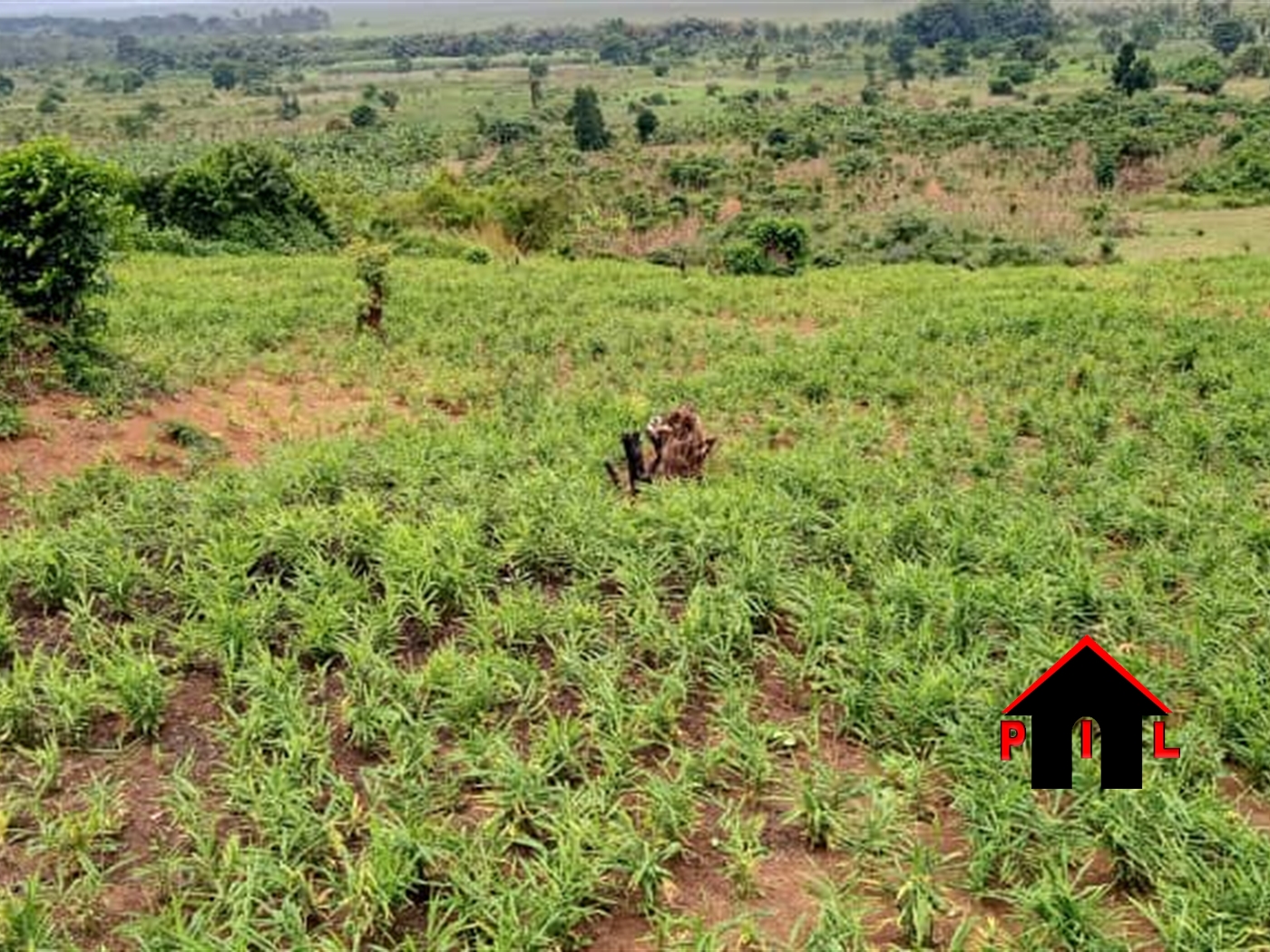 Residential Land for sale in Gayaza Wakiso