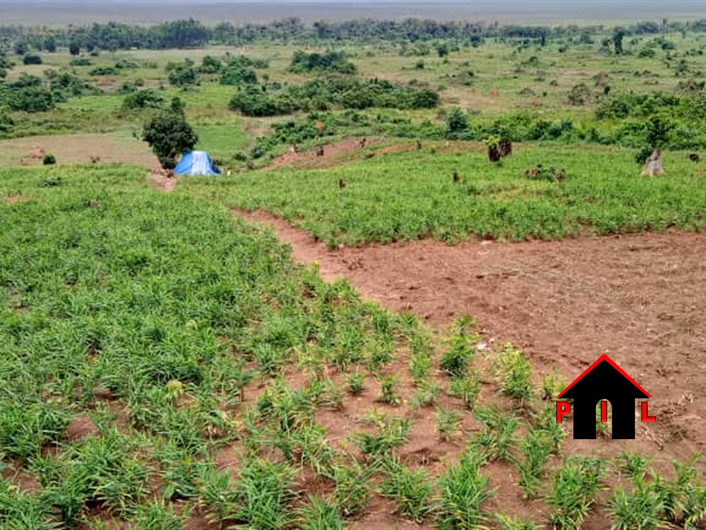 Residential Land for sale in Gayaza Wakiso