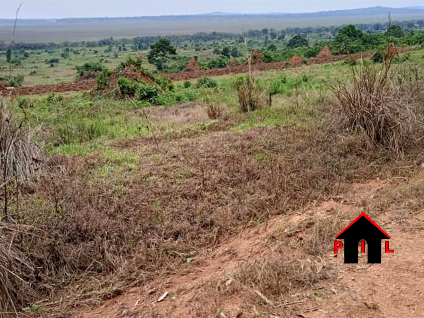 Commercial Land for sale in Bugema Wakiso