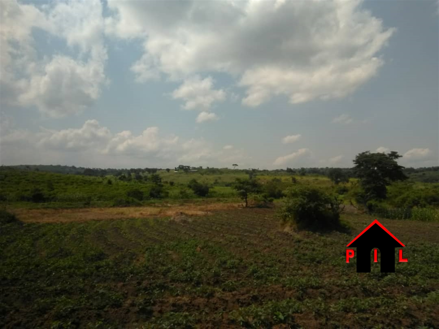 Agricultural Land for sale in Kyetume Luweero