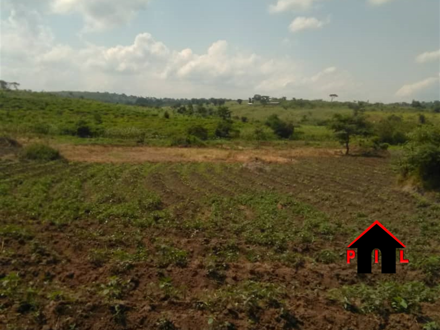 Agricultural Land for sale in Kyetume Luweero