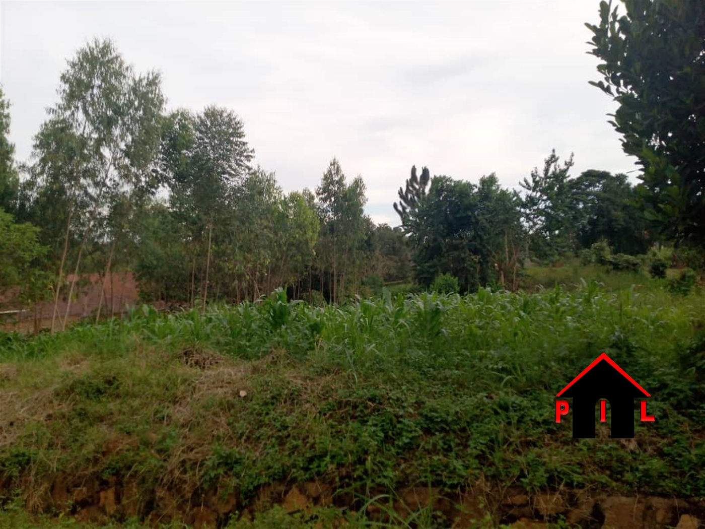 Agricultural Land for sale in Kayonza Luweero