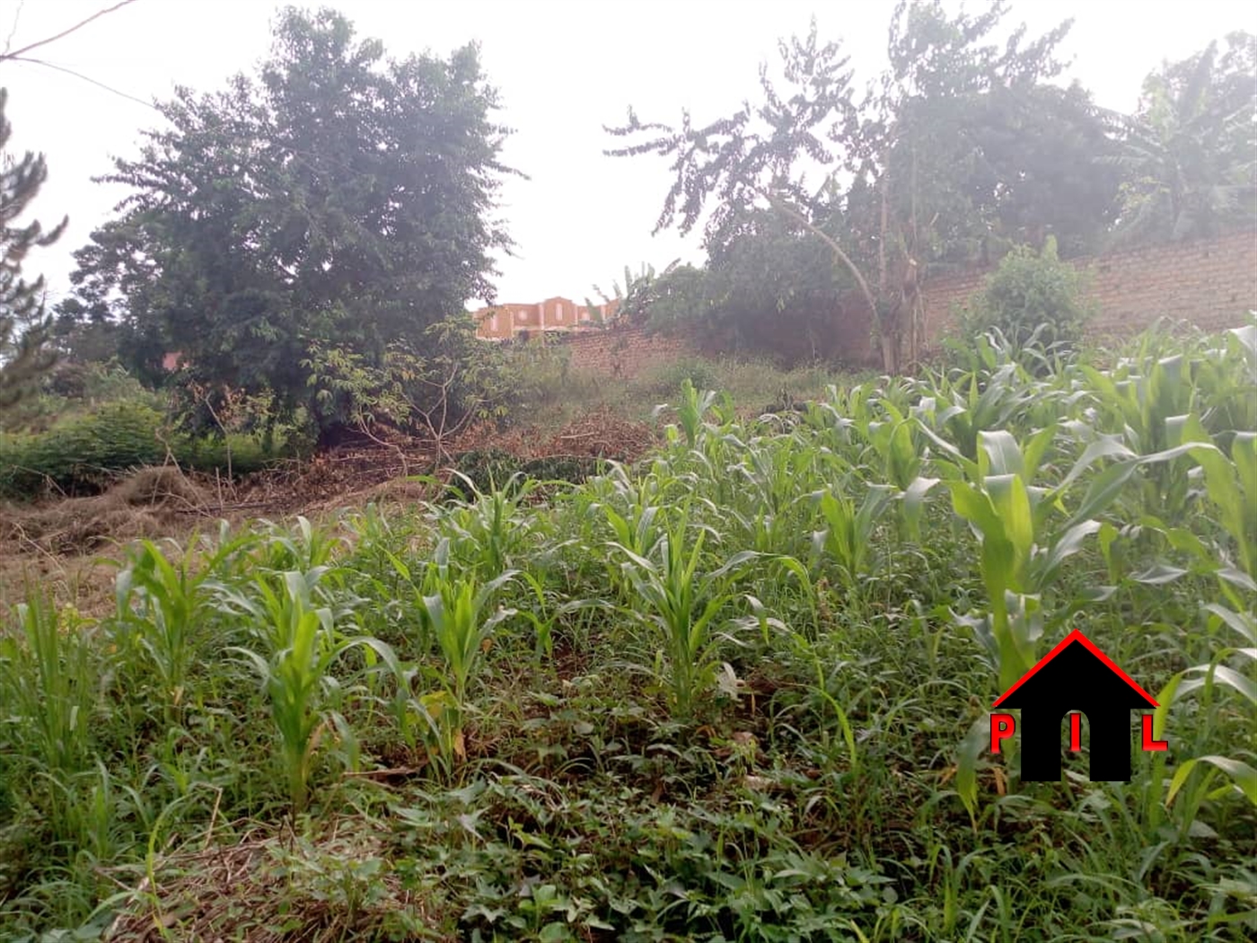 Agricultural Land for sale in Kayonza Luweero