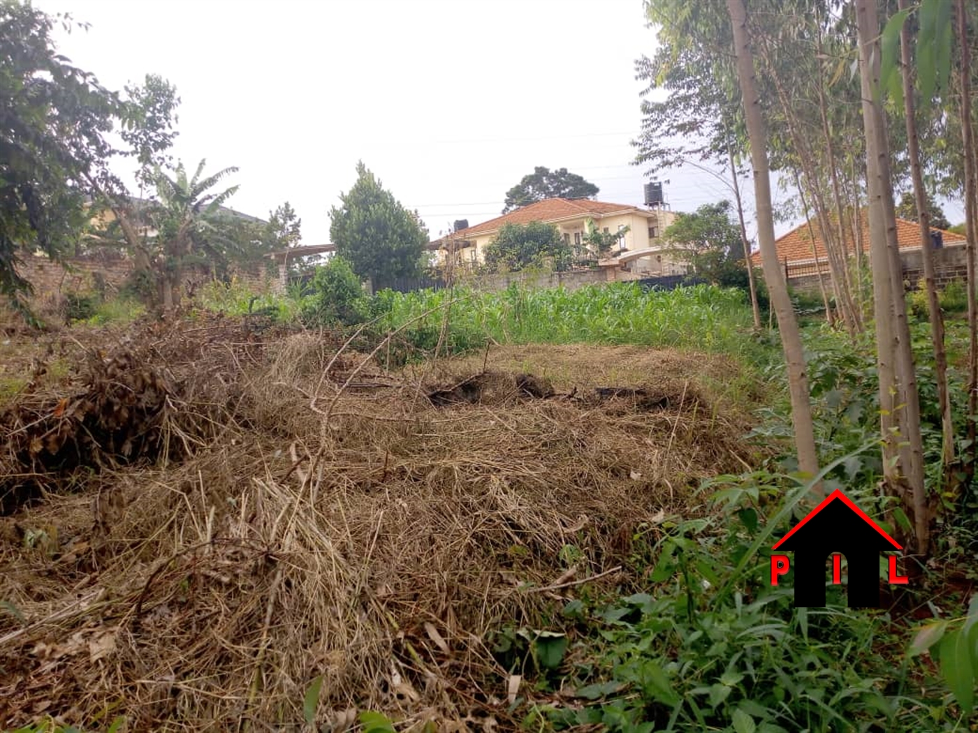 Agricultural Land for sale in Kayonza Luweero