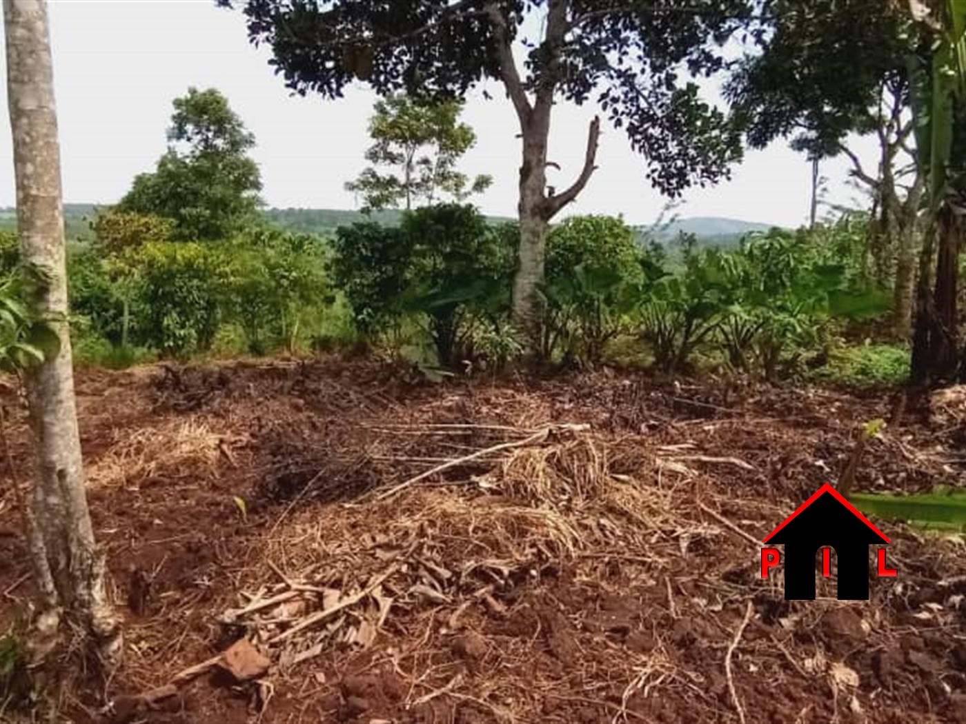 Residential Land for sale in Busukuma Wakiso