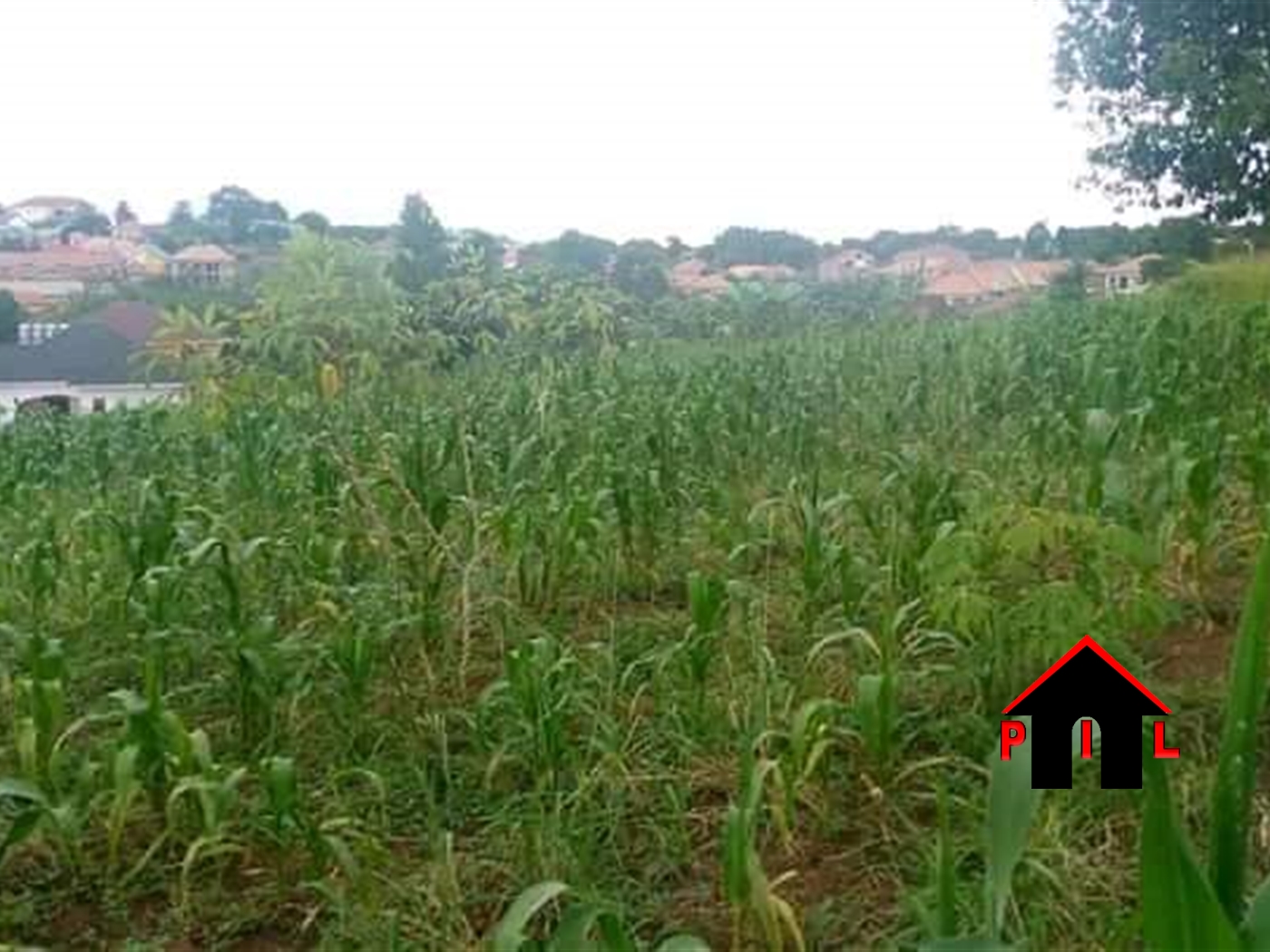 Residential Land for sale in Gayaza Wakiso