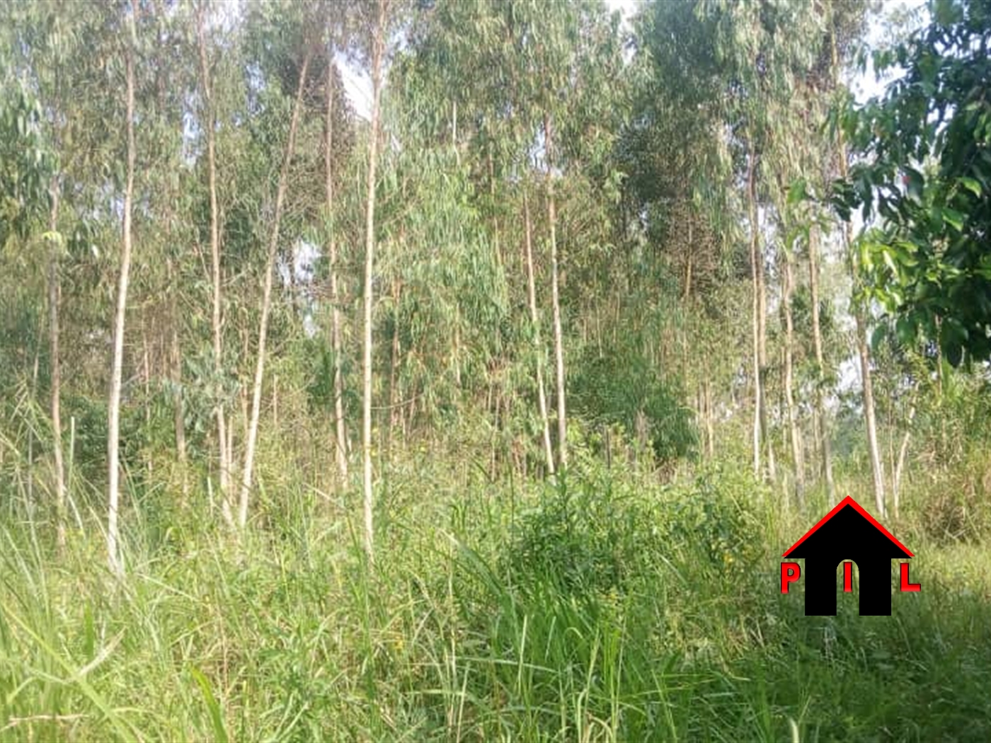 Agricultural Land for sale in Kifampa Mpigi