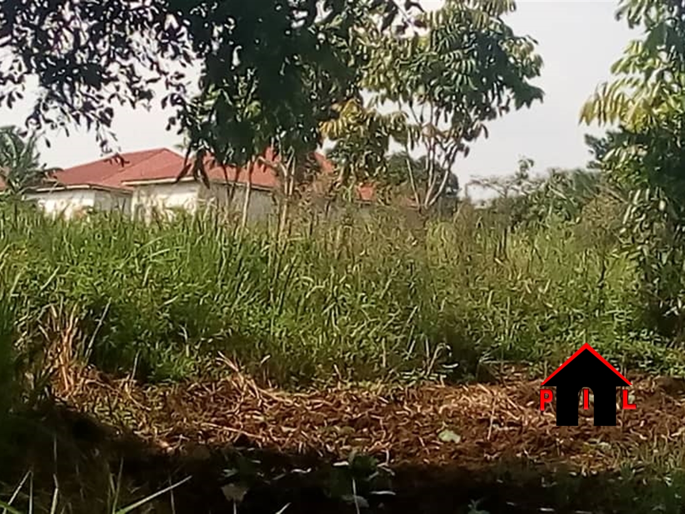 Agricultural Land for sale in Kifampa Mpigi