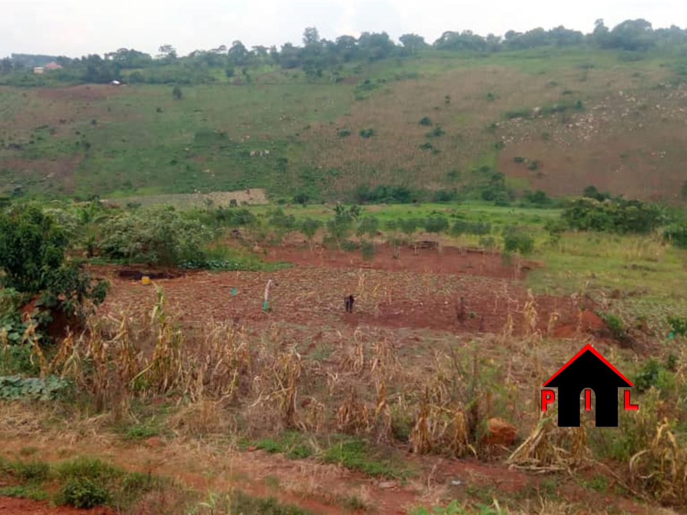 Agricultural Land for sale in Kitenga Mubende